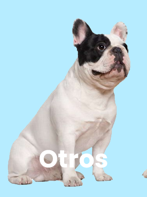 otros-4